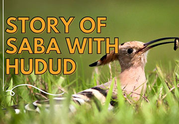 The story of Saba with Hudhud